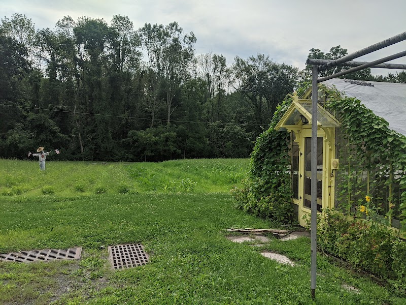 Augustine's Farm photo 4