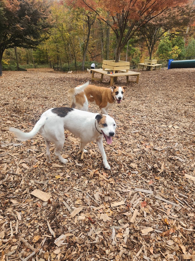 Rumbrook Dog Park photo 2