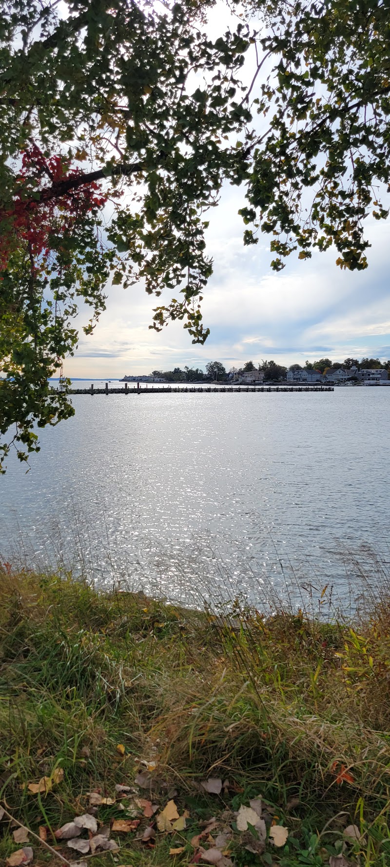 Cummings Park Beach photo 5