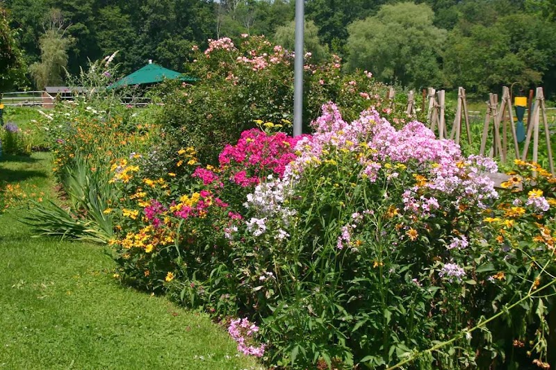 Sundial Farm photo 3