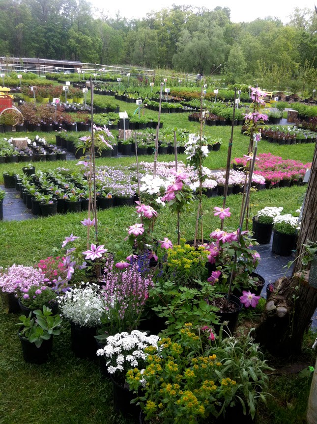 Sundial Farm photo 4