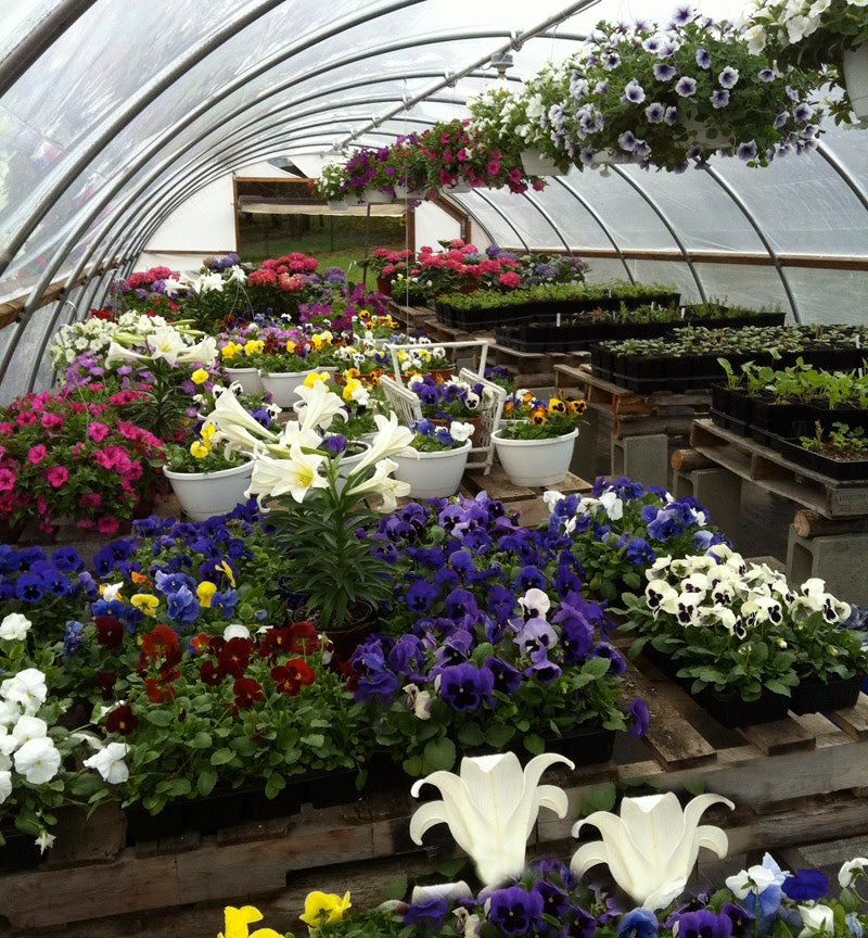 Sundial Farm photo 5