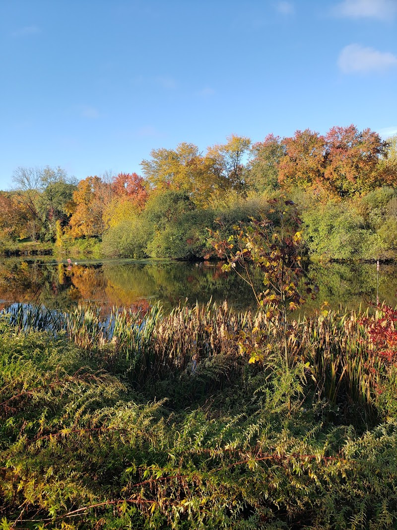 Junior Lake Park photo 3