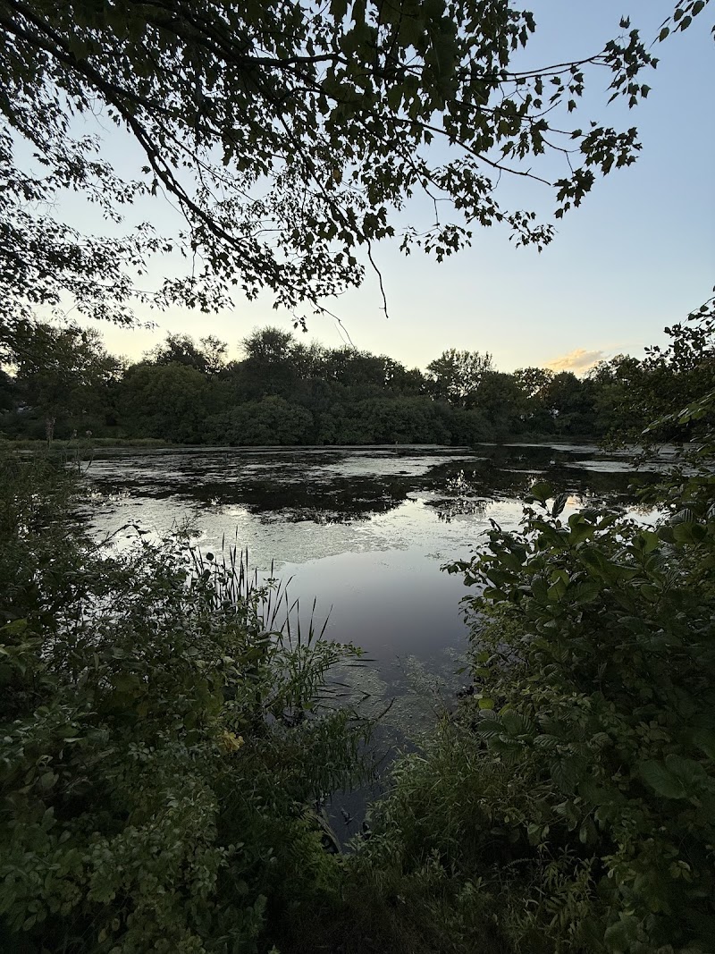 Junior Lake Park photo 4