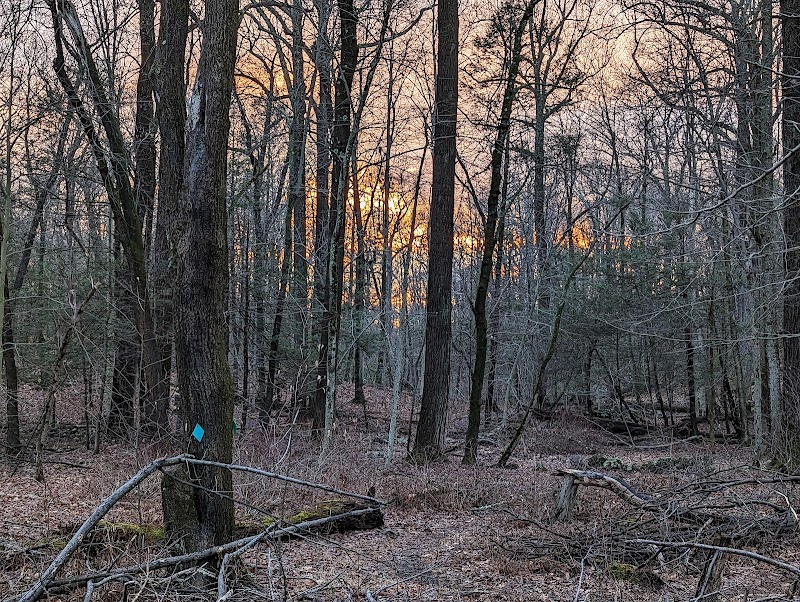 Sunny Ridge Preserve photo 2