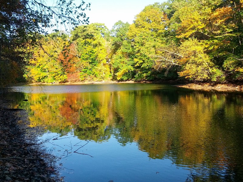 Sunny Ridge Preserve photo 4