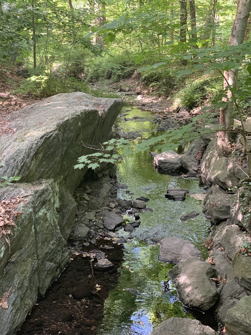 Hunt's Woods Park photo 2