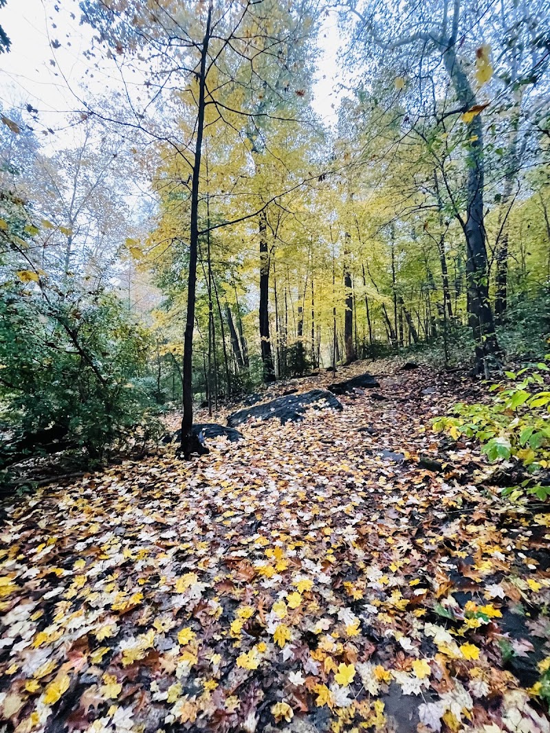 Hunt's Woods Park photo 3