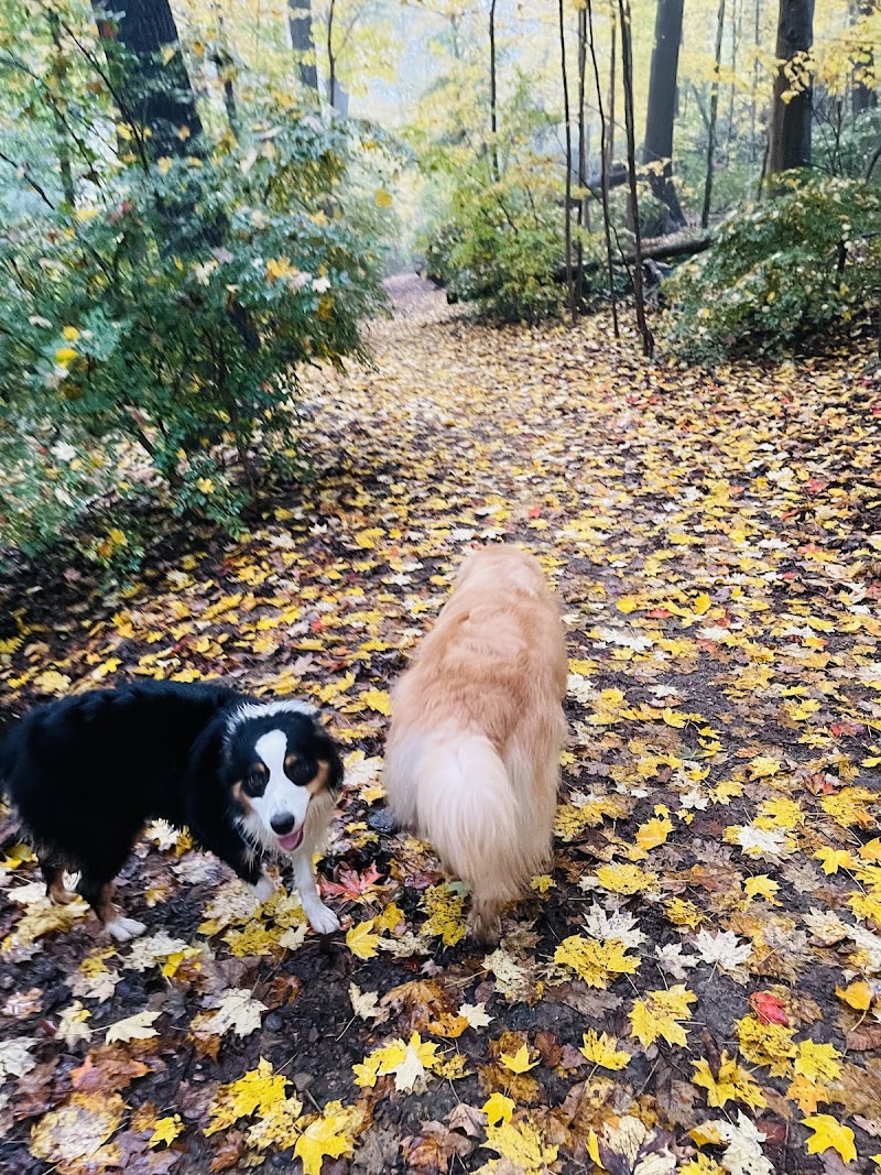 Hunt's Woods Park photo 4
