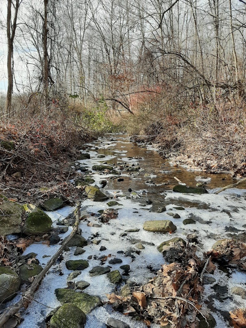 Durand Preserve photo 2