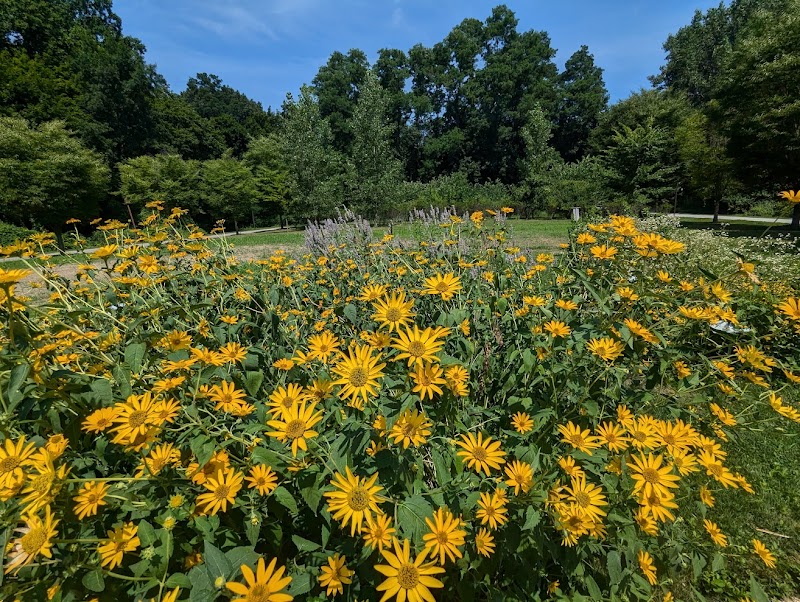 Purchase College Native Plant Garden photo 2
