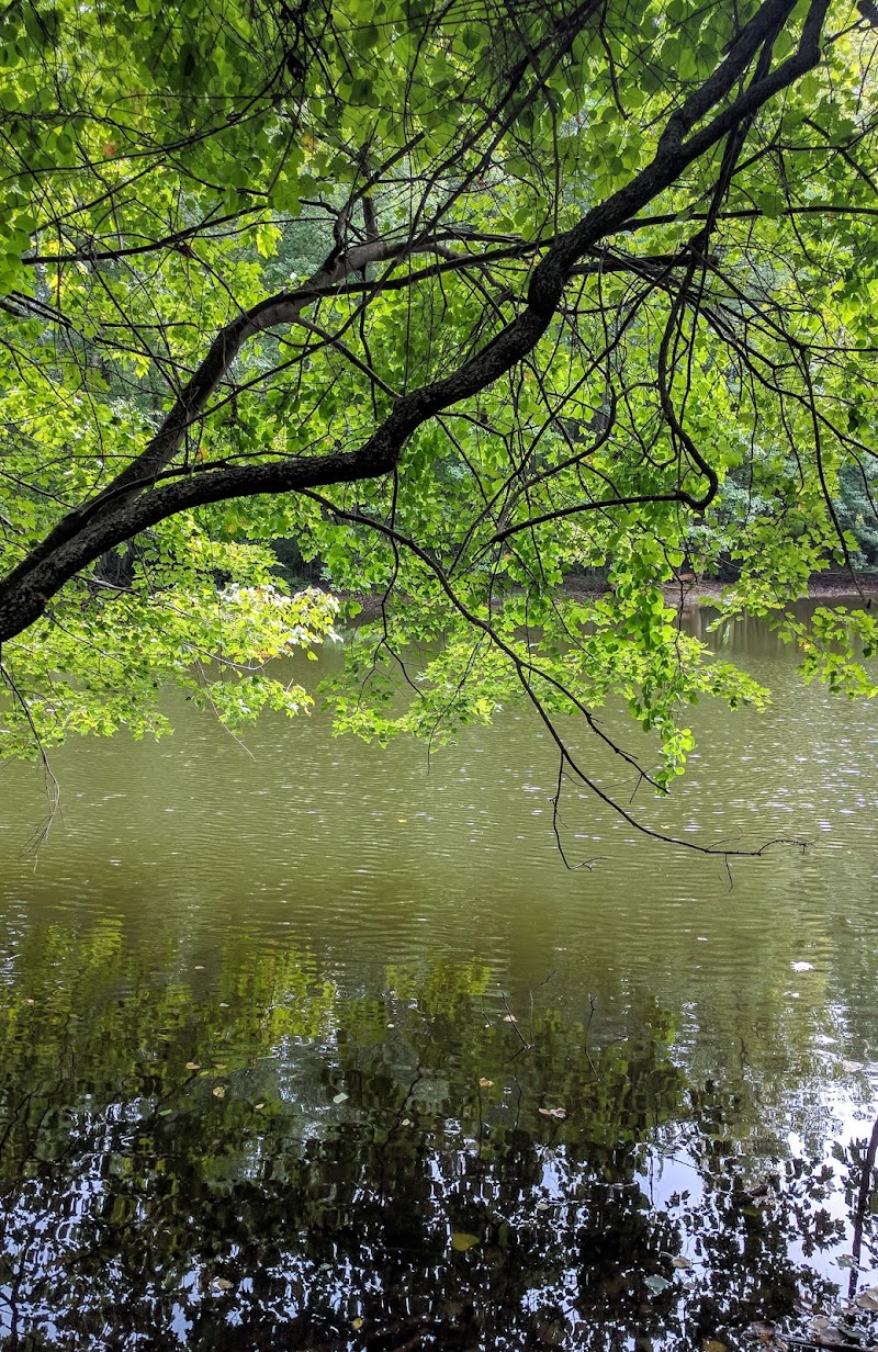 Burden Preserve photo 2