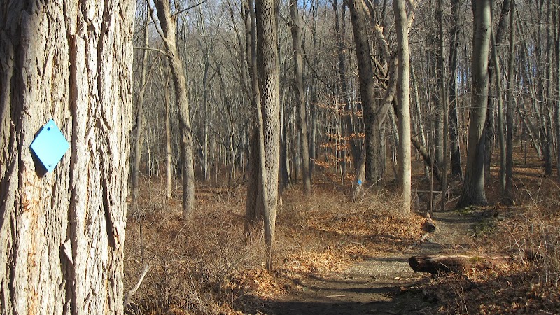 Burden Preserve photo 4