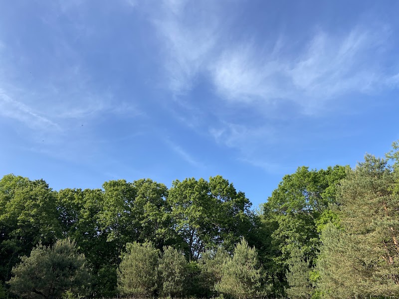 Burden Preserve photo 5