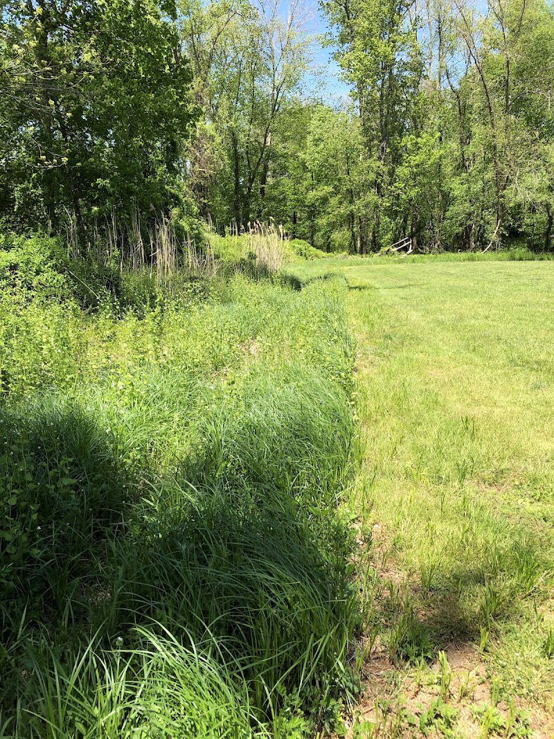 Purdy's Field photo 5
