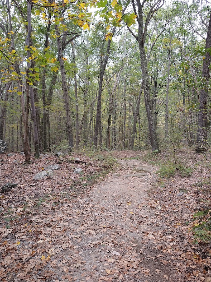 Turkey Mountain Parking photo 2