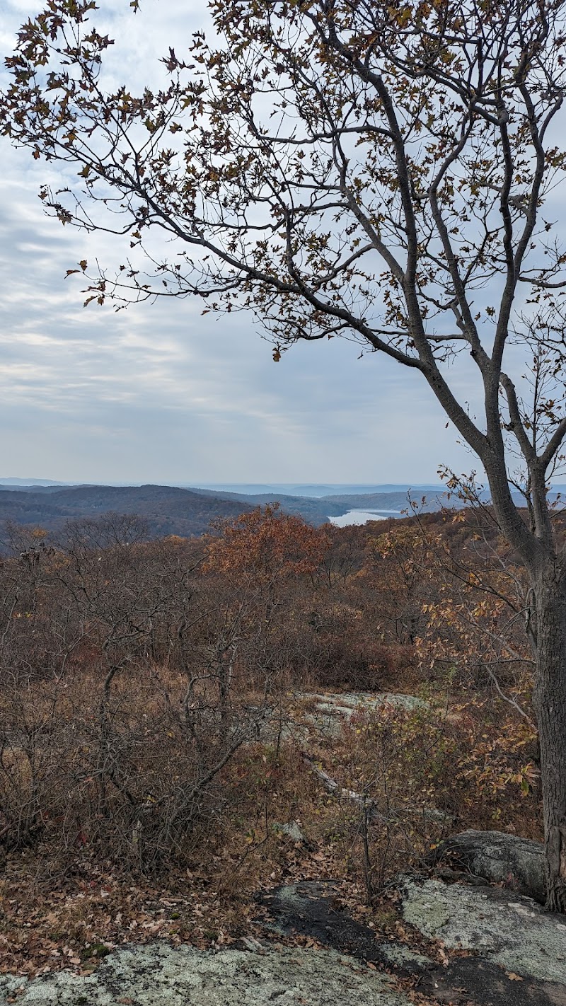 Turkey Mountain Parking photo 3