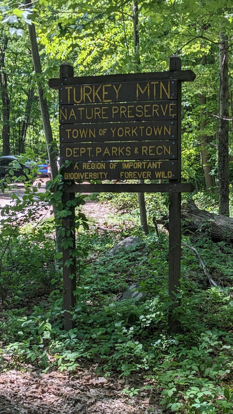 Turkey Mountain Parking photo 4