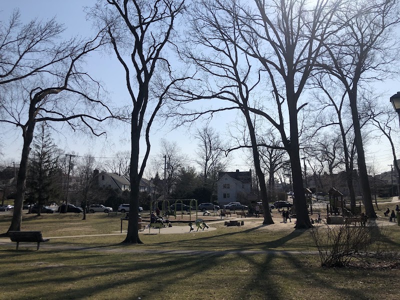 Turtle Park photo 5