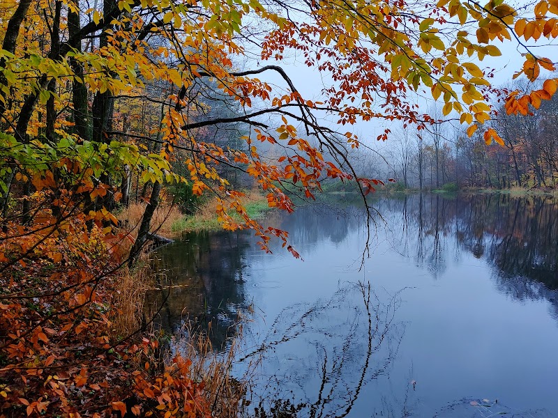 Muscoot Reservoir Recreation Area photo 3