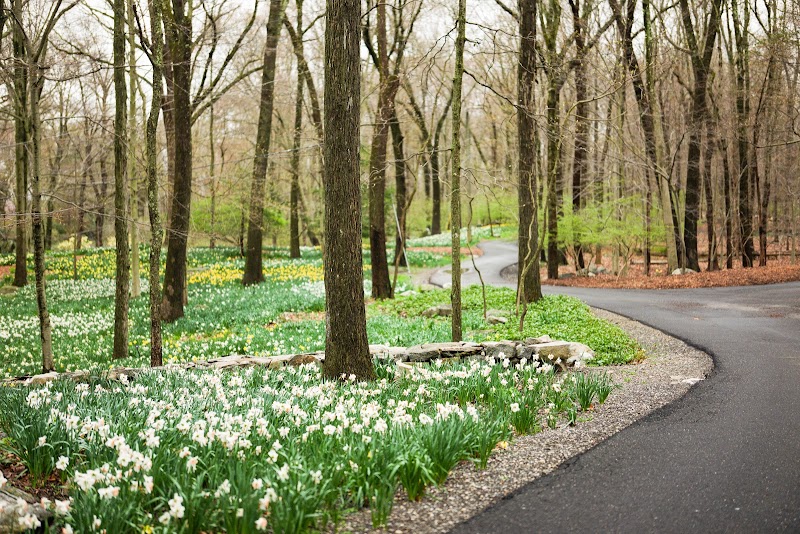 Music in the Woods Inc photo 3
