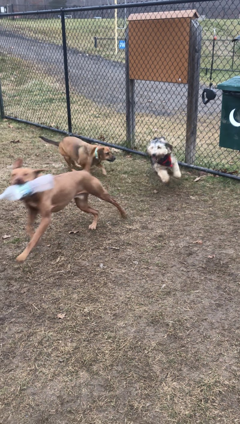 Putnam Valley Dog Park photo 2