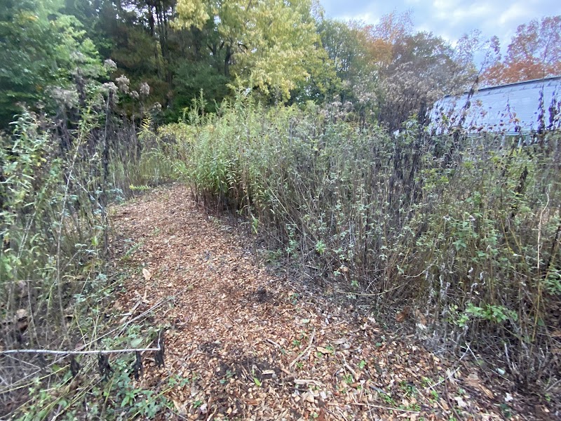 Butterfly Garden photo 2