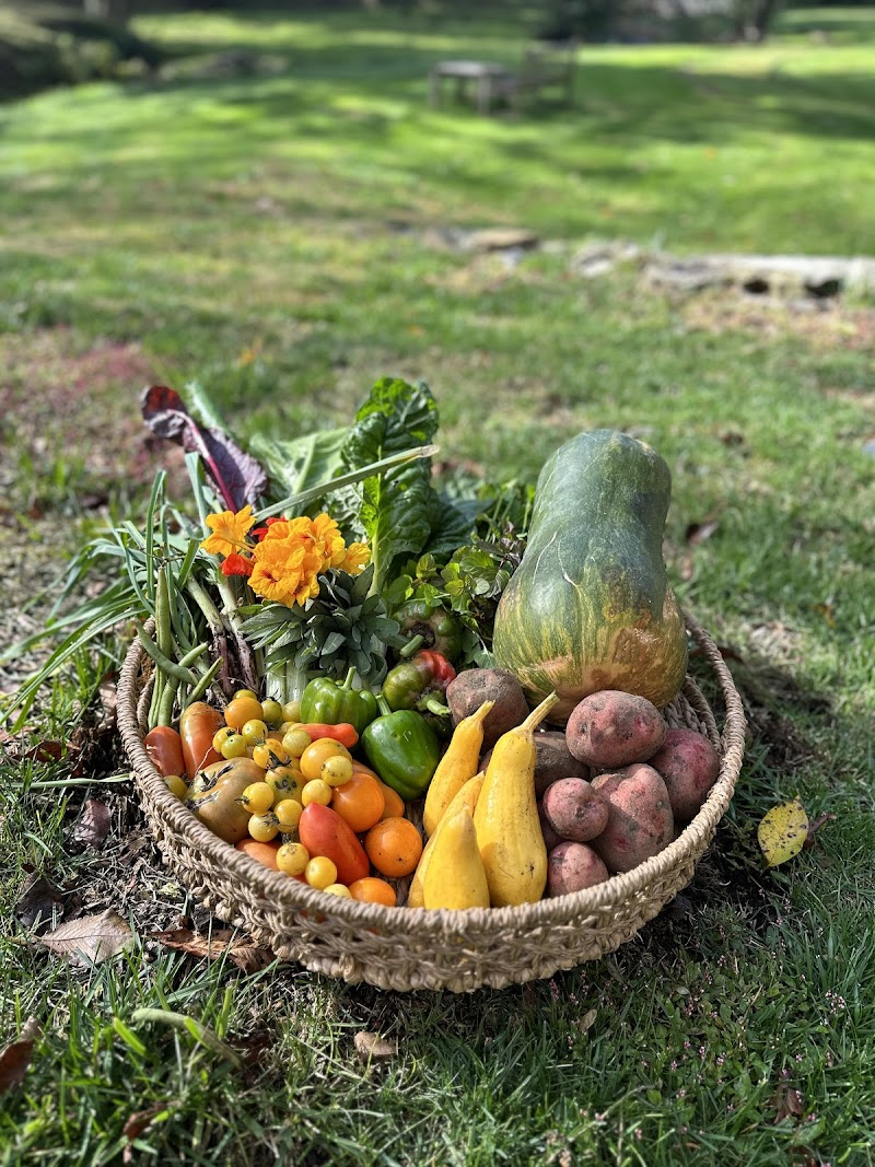 Buxton Pond Farm Center photo 2
