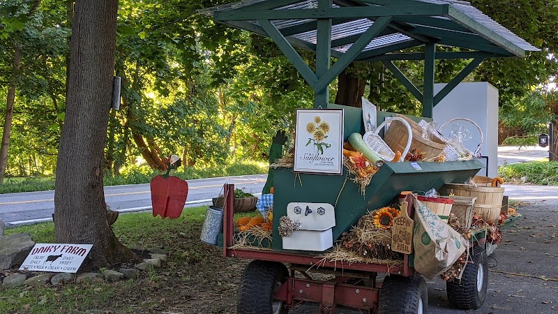 Avalon Farm photo 3