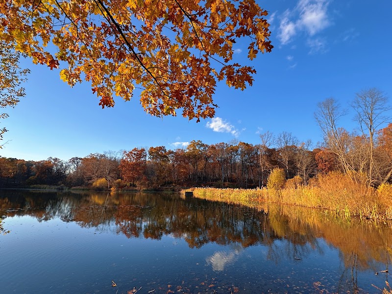 Swan Lake in Rockefeller State Park Preserve photo 1