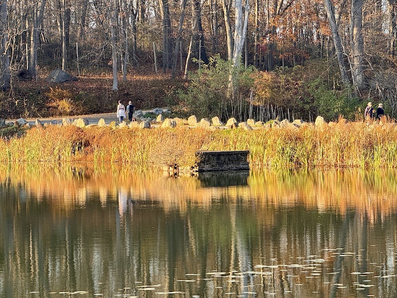 Swan Lake in Rockefeller State Park Preserve photo 2