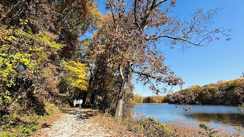 Swan Lake in Rockefeller State Park Preserve photo 4