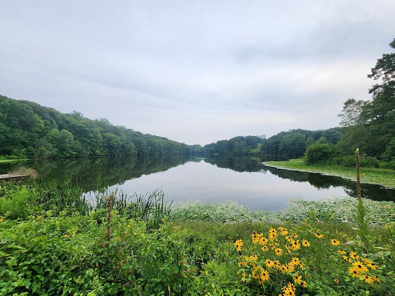 Swan Lake in Rockefeller State Park Preserve photo 5
