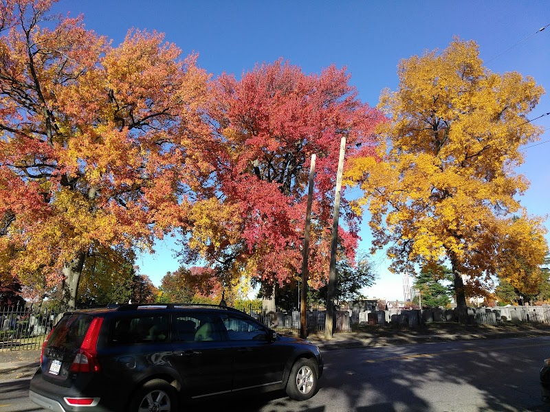 Sycamore Park photo 4