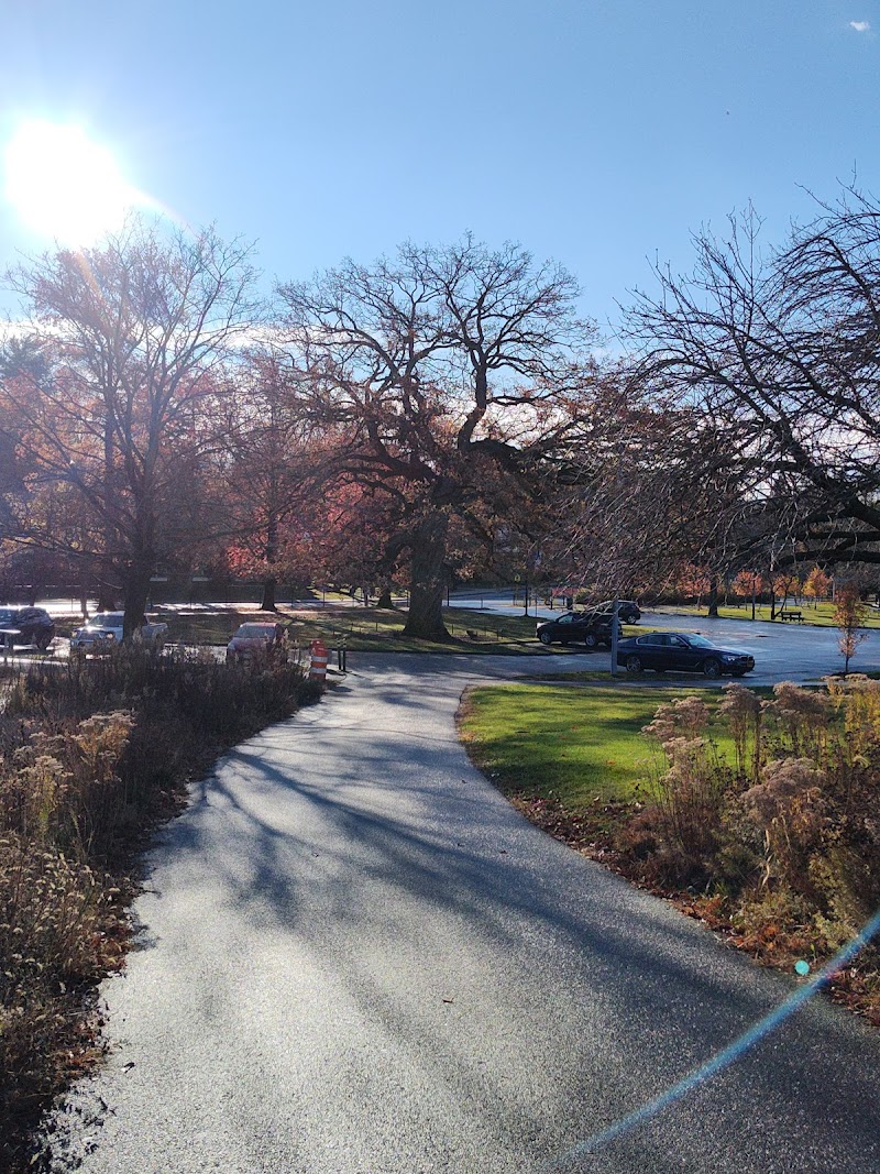 Rye Recreation Park photo 3