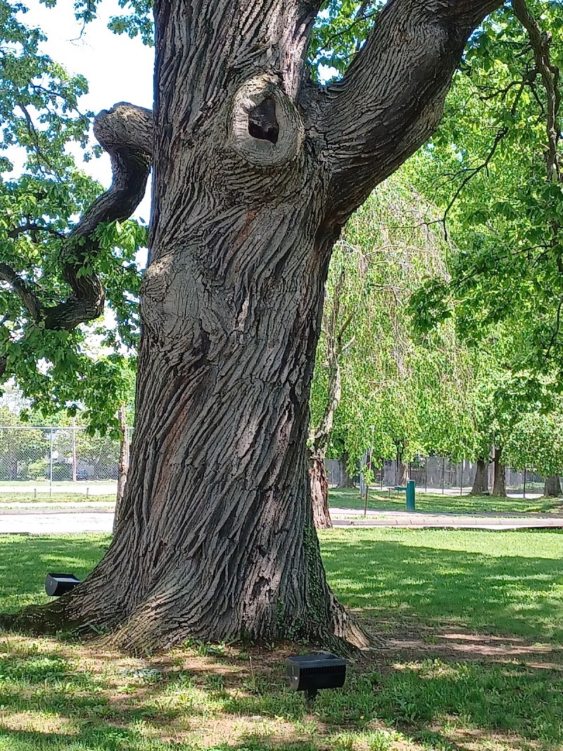 Rye Recreation photo 2