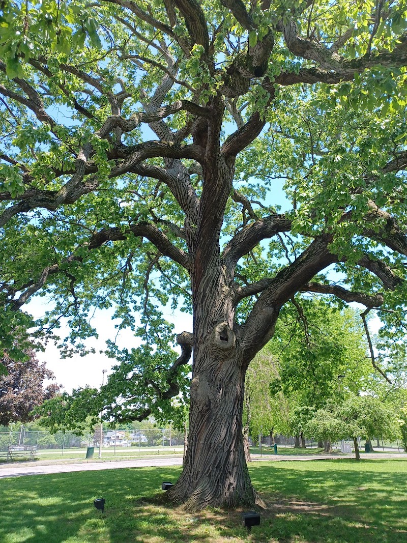 Rye Recreation photo 3