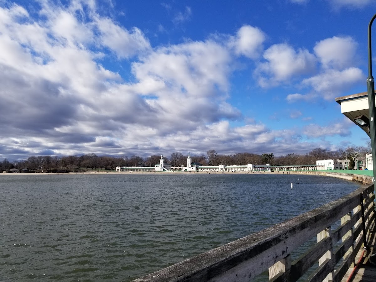 Rye Playland Pool photo 5