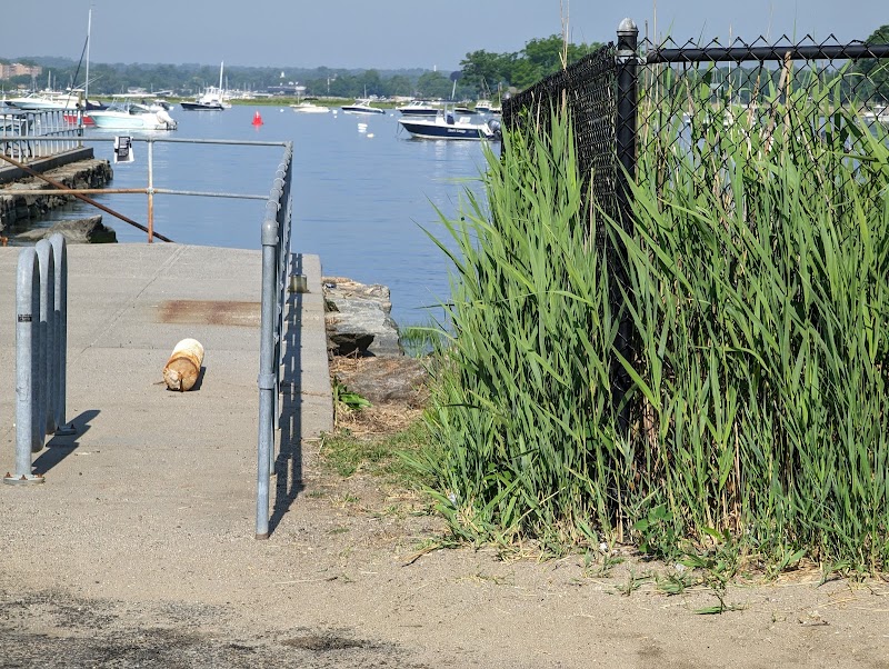 Rye Town Pier photo 5