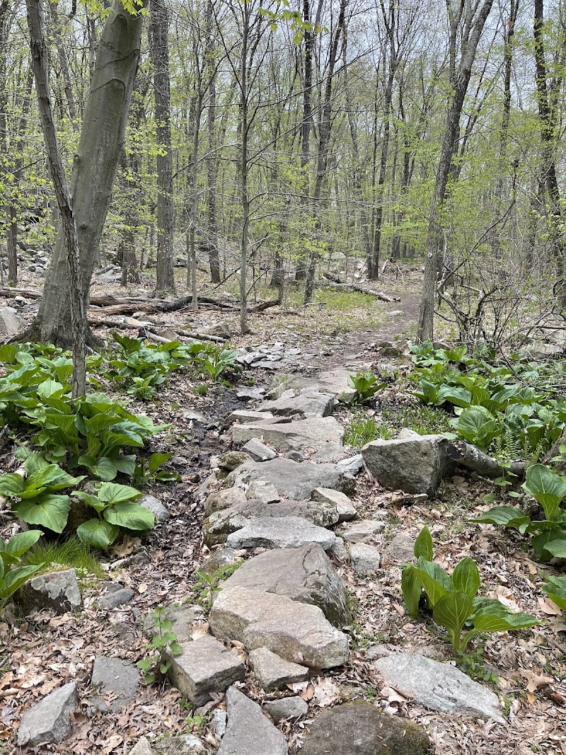Sylvan Glen Park Preserve photo 2