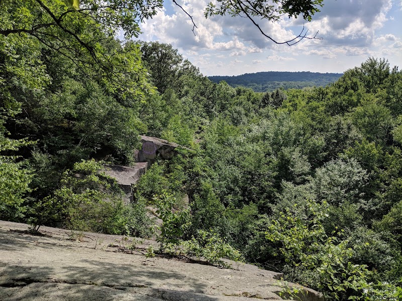 Sylvan Glen Park Preserve photo 3