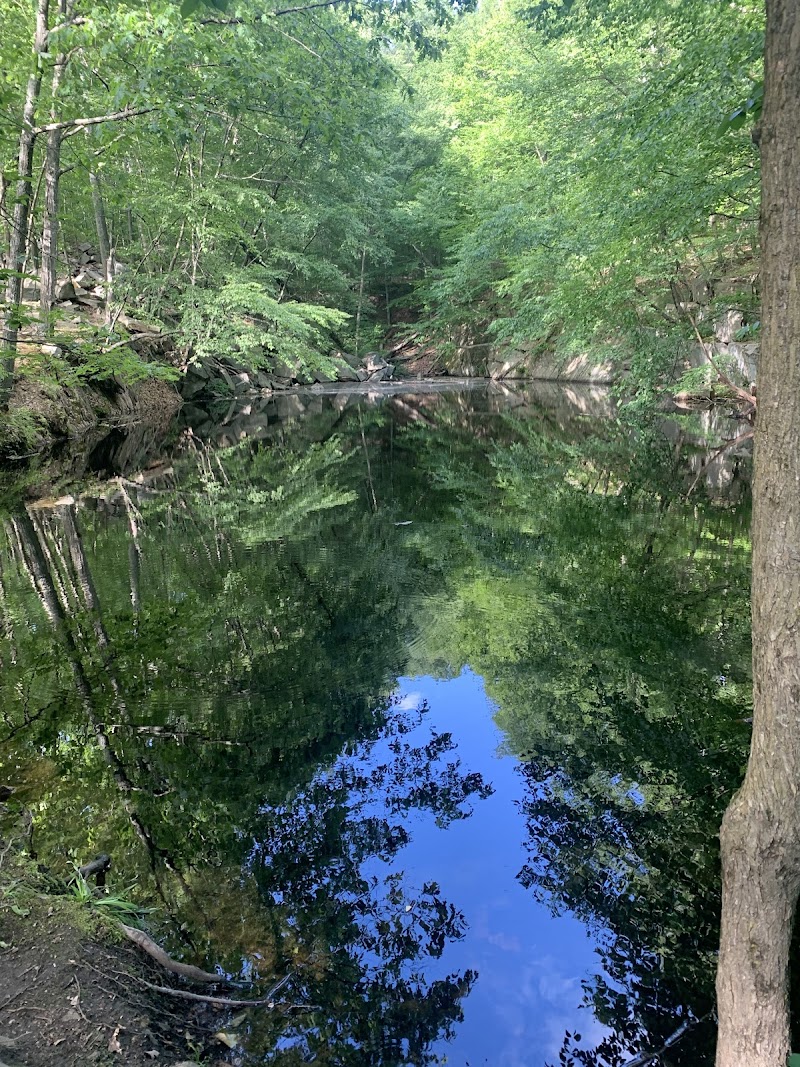 Sylvan Glen Park Preserve photo 4