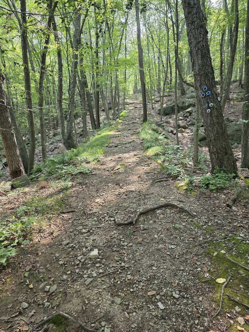 Sylvan Glen Park Preserve photo 5