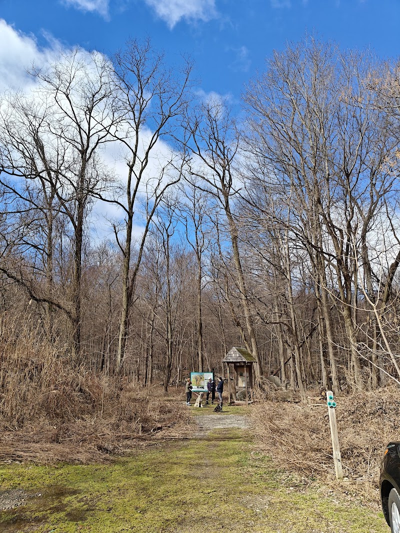 Sylvan Glen Eastern Trail Head photo 5