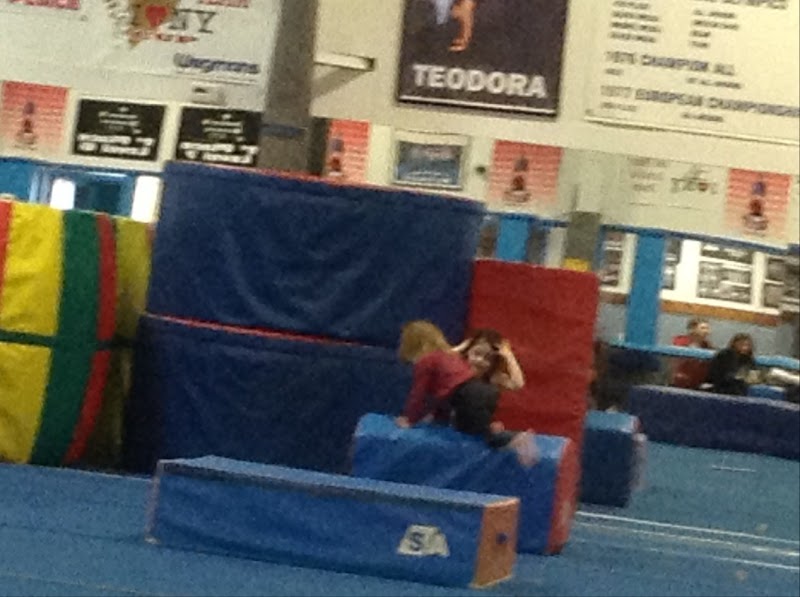 Dynamic Gymnastics photo 2