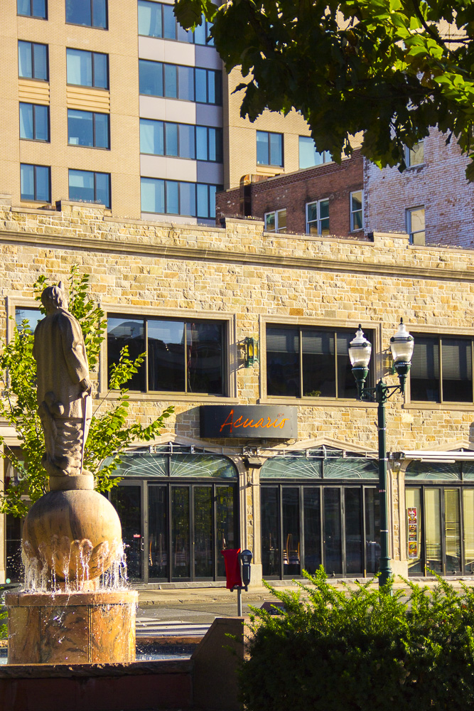 Acuario Restaurant Stamford CT photo 4