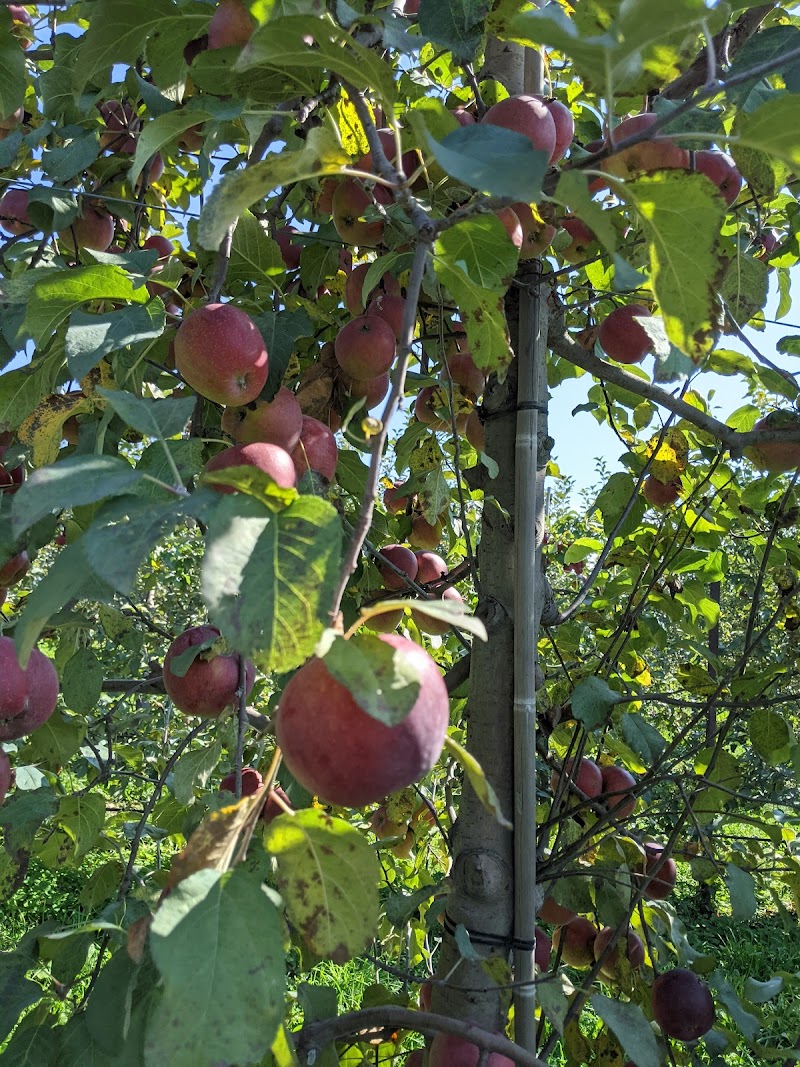 Adams Acres Farm photo 3