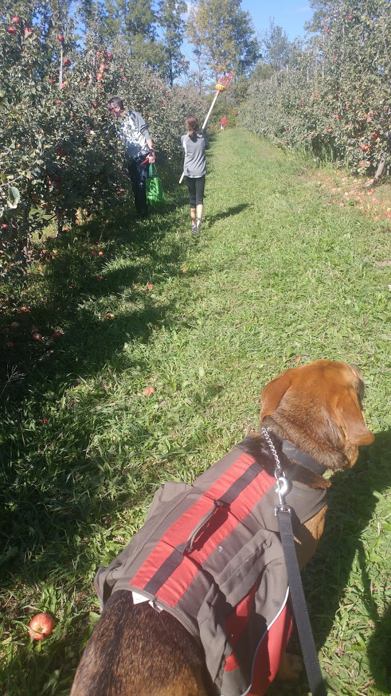 Adams Acres Farm photo 5