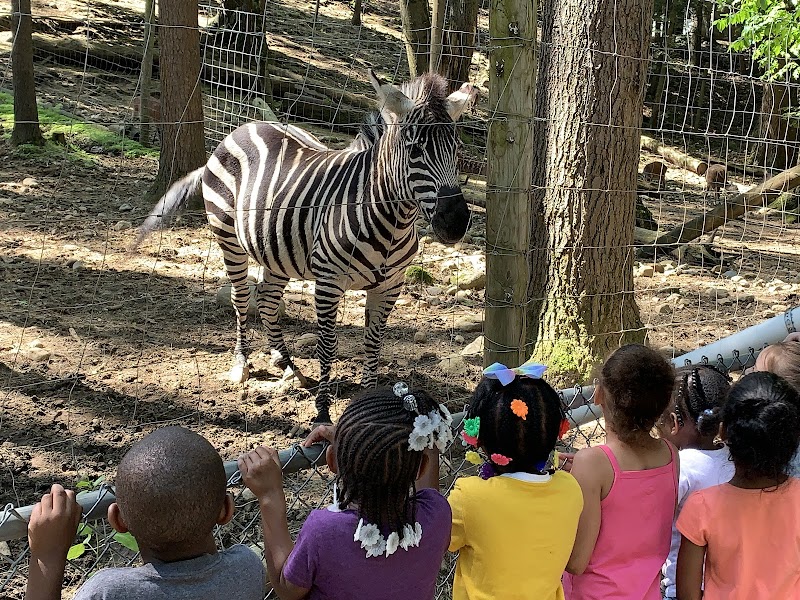 Adirondack Animal Land photo 3