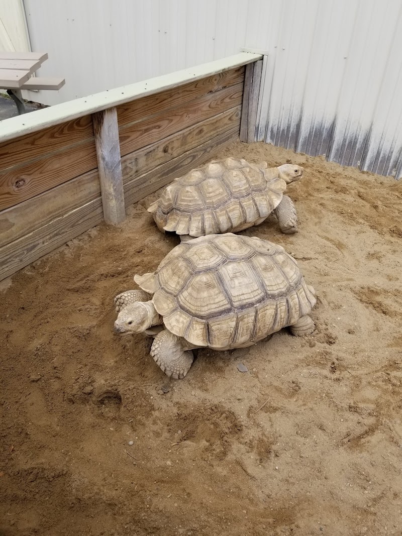 Adirondack Animal Land photo 5